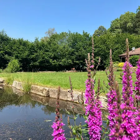 Drei Muehlen Bad König